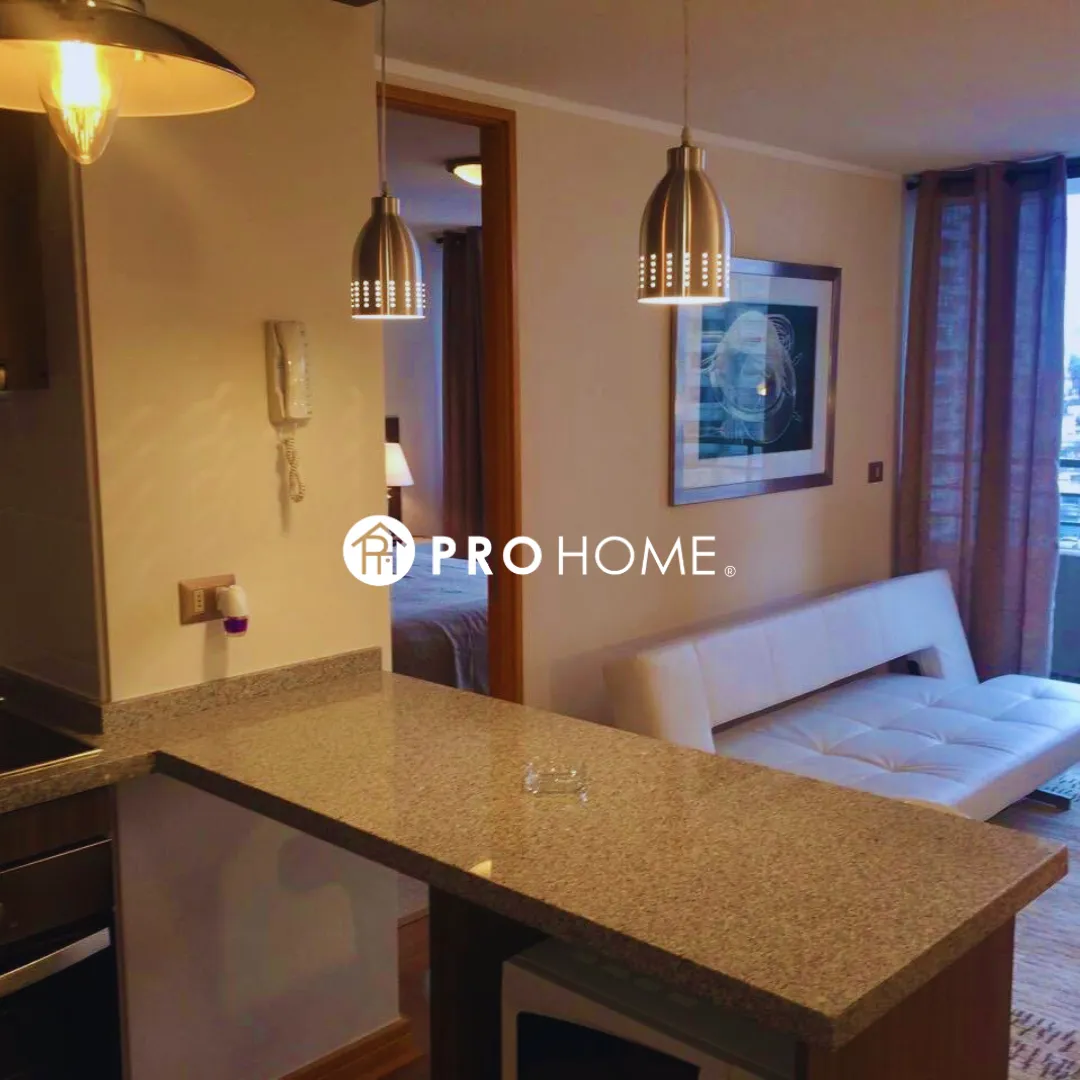 Arriendo departamento amoblado en Av Brasil — foto 4 de 7