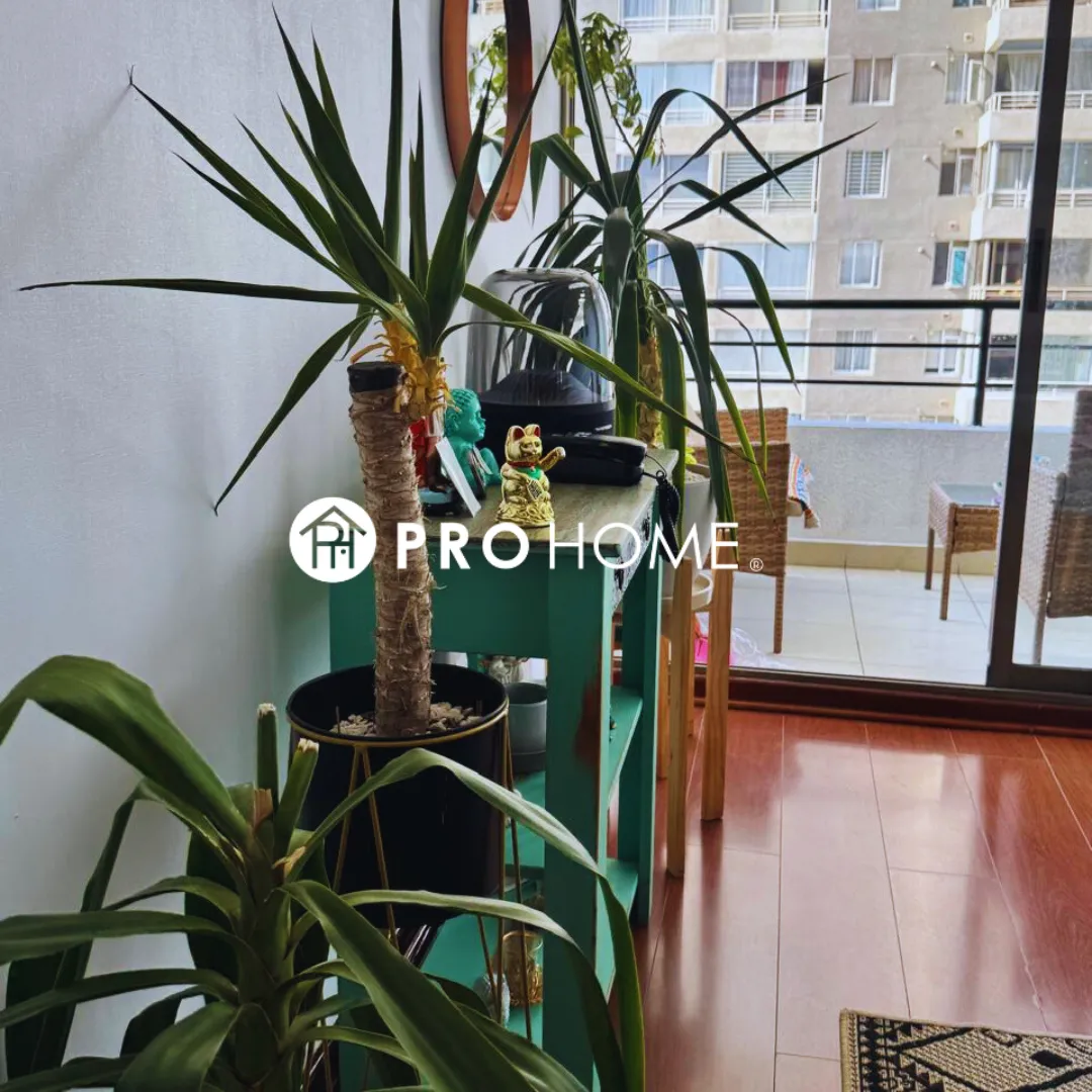 Se vende departameto semi-amoblado en Edificio Terramar III — foto 15 de 25