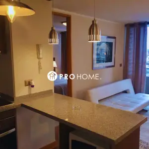 Arriendo departamento amoblado en Av Brasil — vista 4